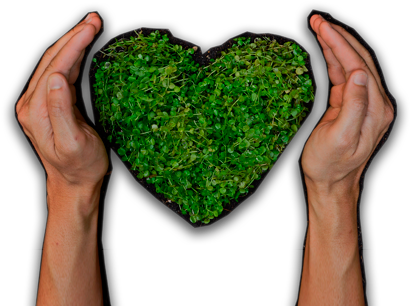 Maximum Respect For The Environment (700x500), Png Download