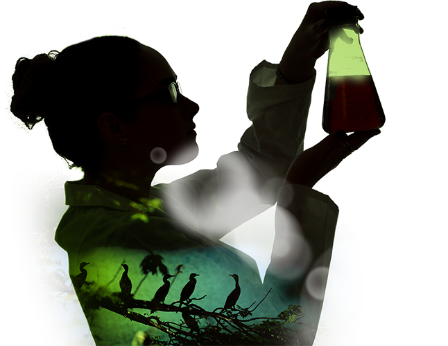 This Is Reflected In Investments And Initiatives For (646x500), Png Download