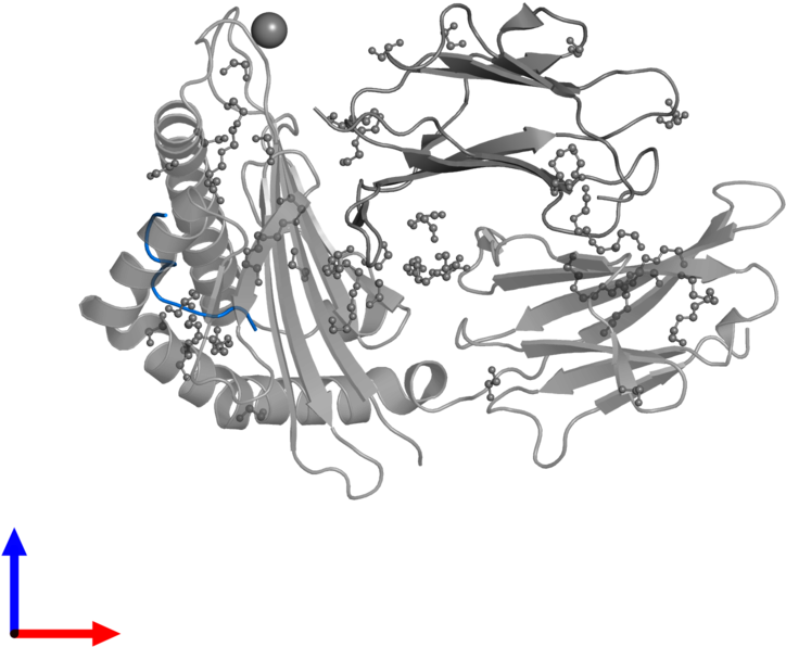 <div Class='caption-body'>pdb Entry 5c0e Contains 1 (800x800), Png Download