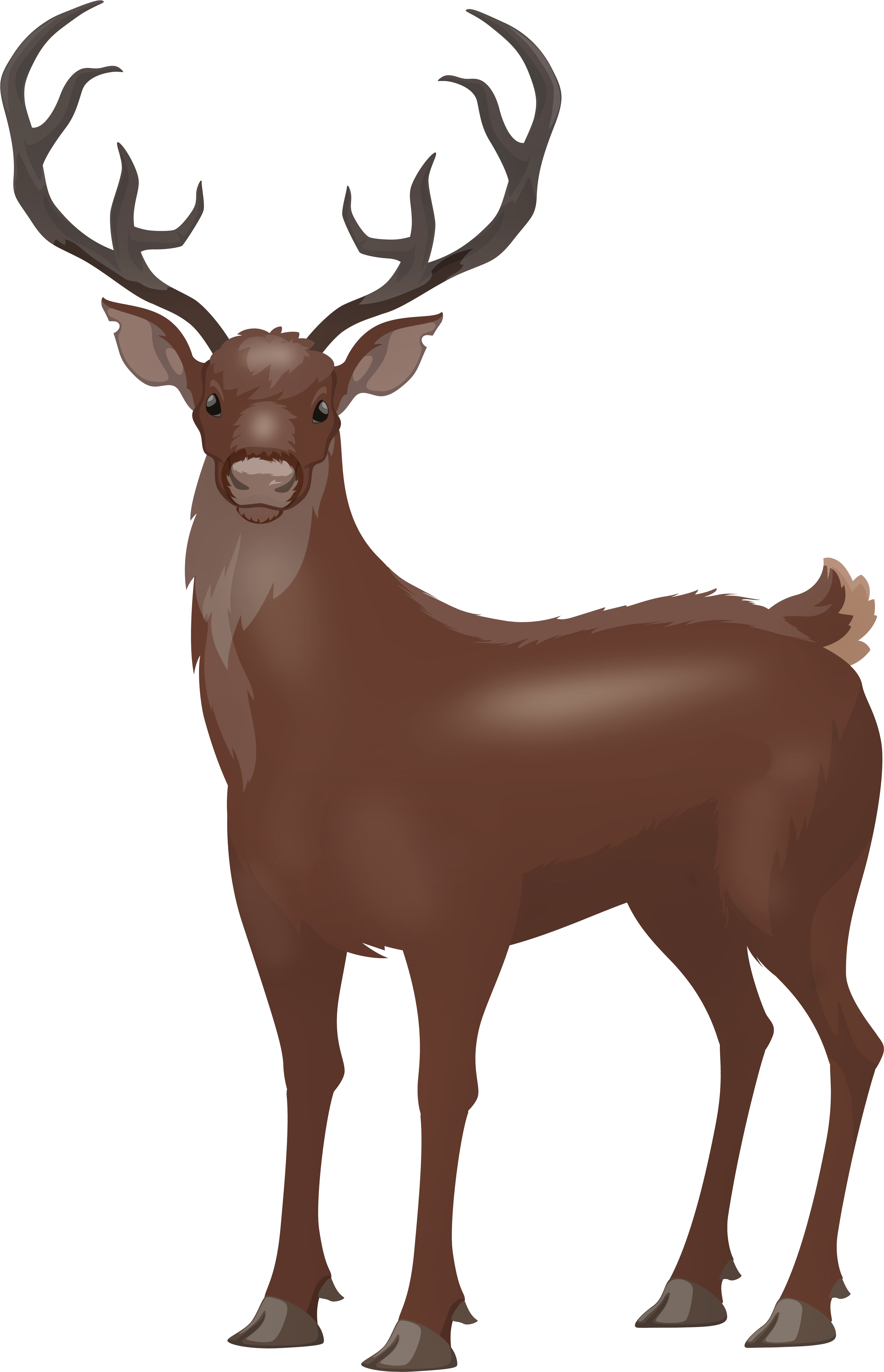 Stag Png (5186x8000), Png Download