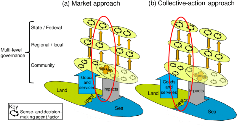 Download Market Based And Collective Action Approaches To Resolving ...