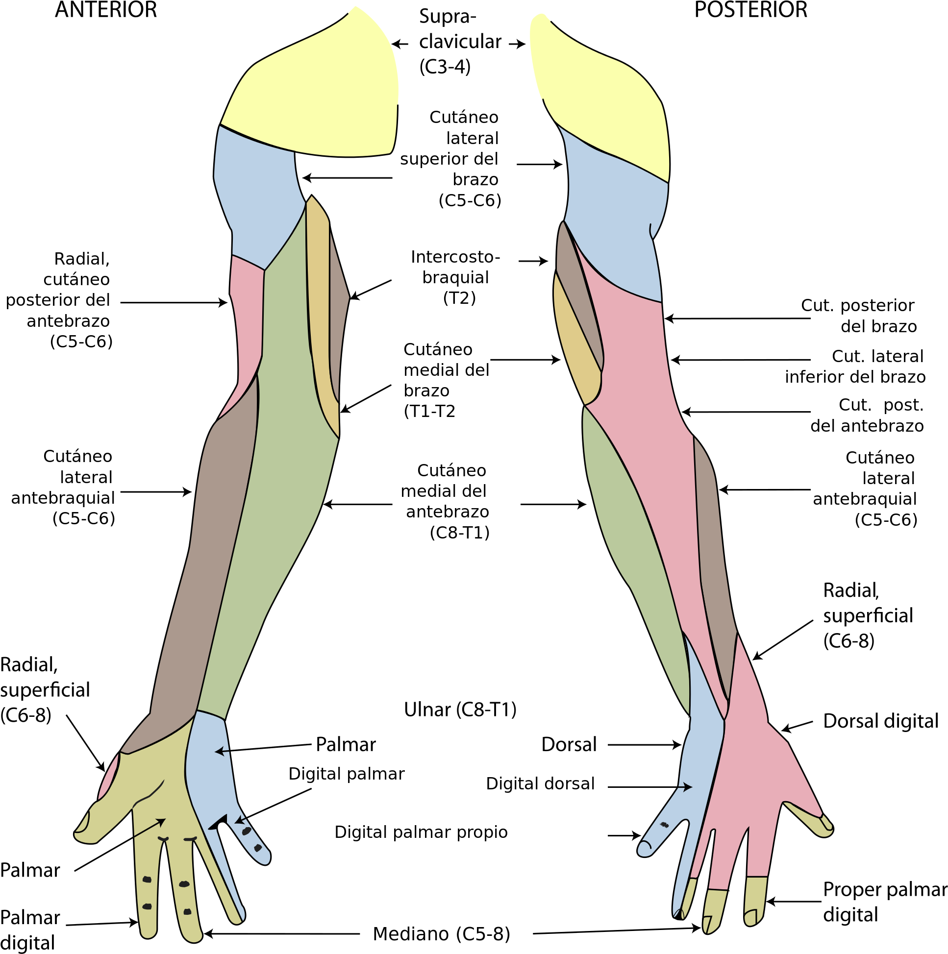 Open (2000x1984), Png Download