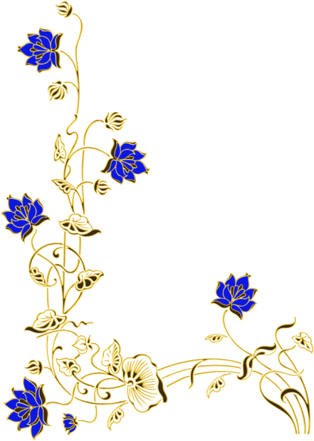 Free Png Scarab Png Images Transparent (480x648), Png Download