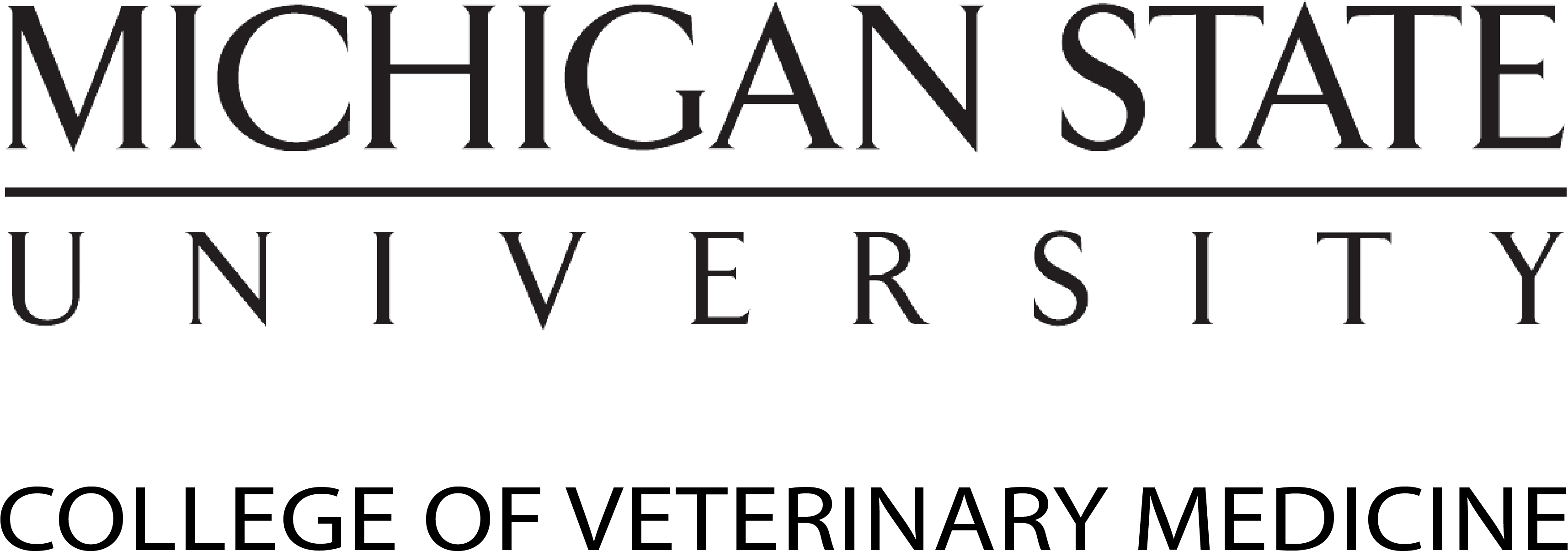 Cvm-msu Wordmark Black Text White Background Stacked (3448x1307), Png Download