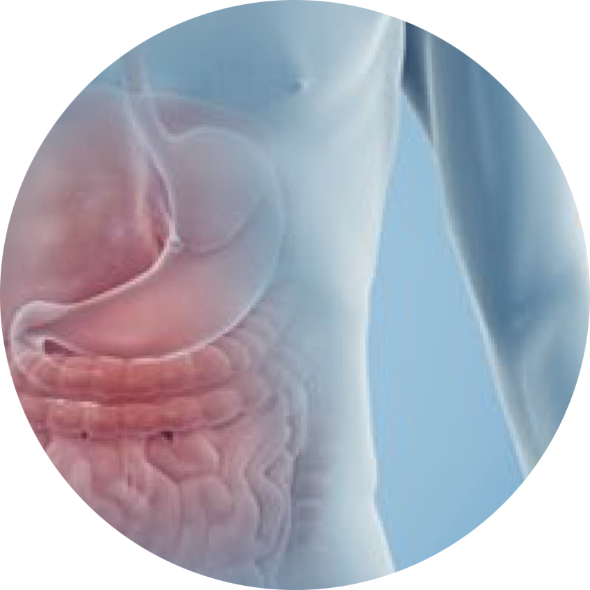 January 30, 2017 (848x848), Png Download