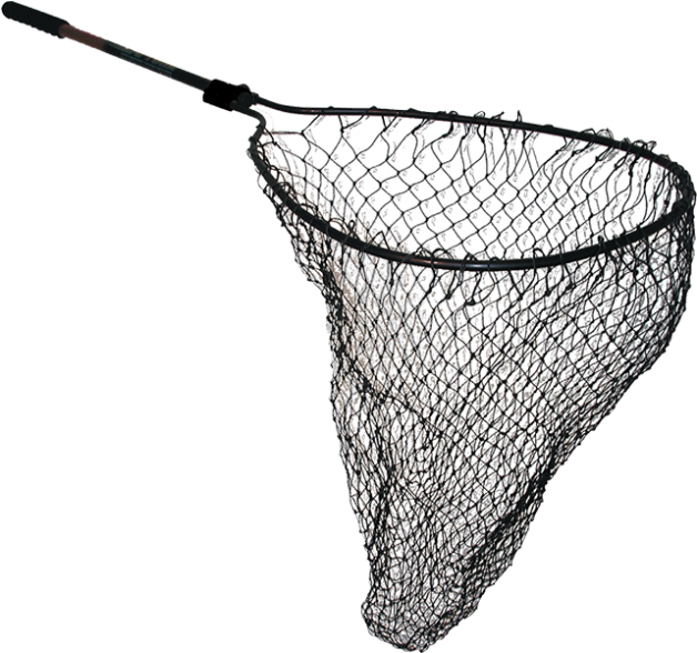 Clip Transparent Fish Png For Free Download On (940x587), Png Download