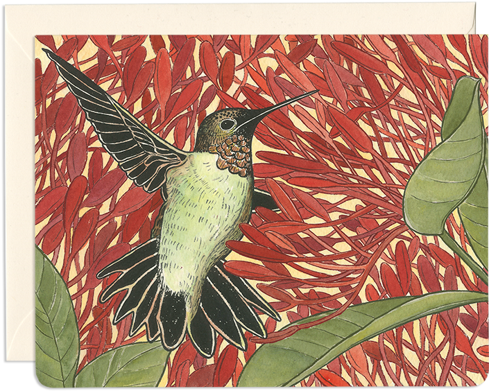 Elegant Bird Greeting Card (800x661), Png Download