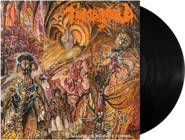 Manor Of Infinite Forms Vinyl Lp (600x600), Png Download