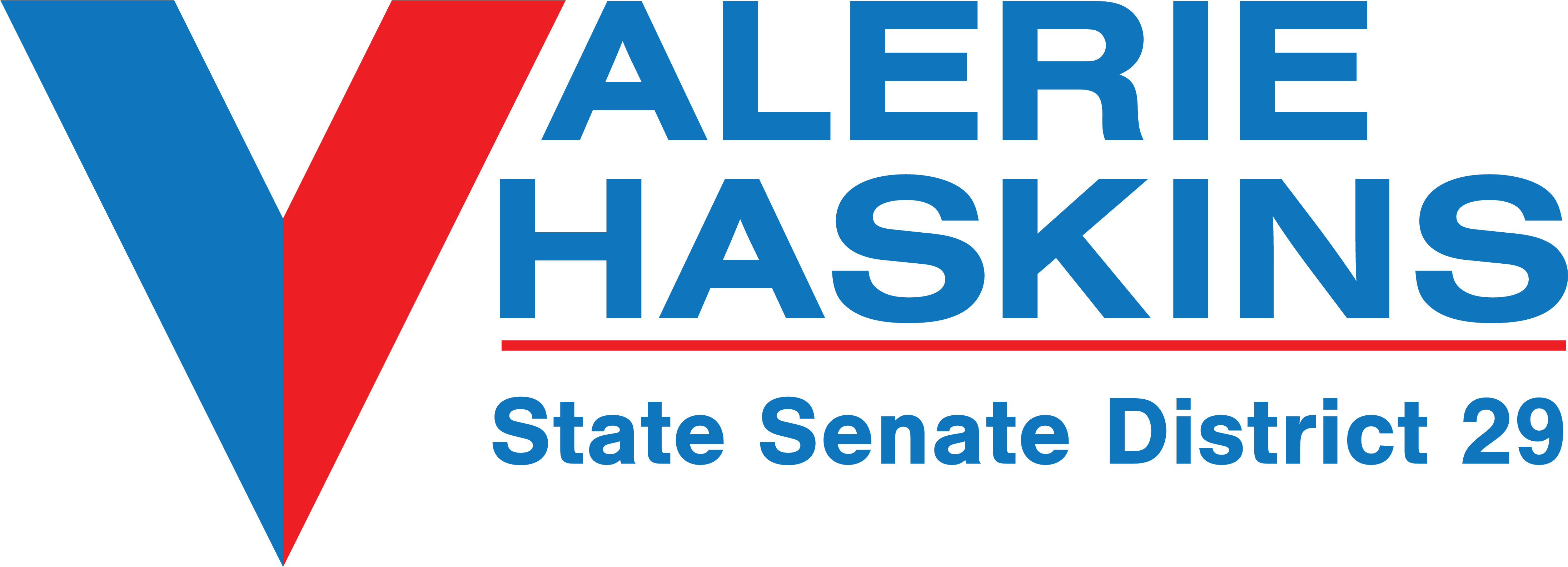 Valerie Haskins For Georgia State Senate District (4448x1713), Png Download