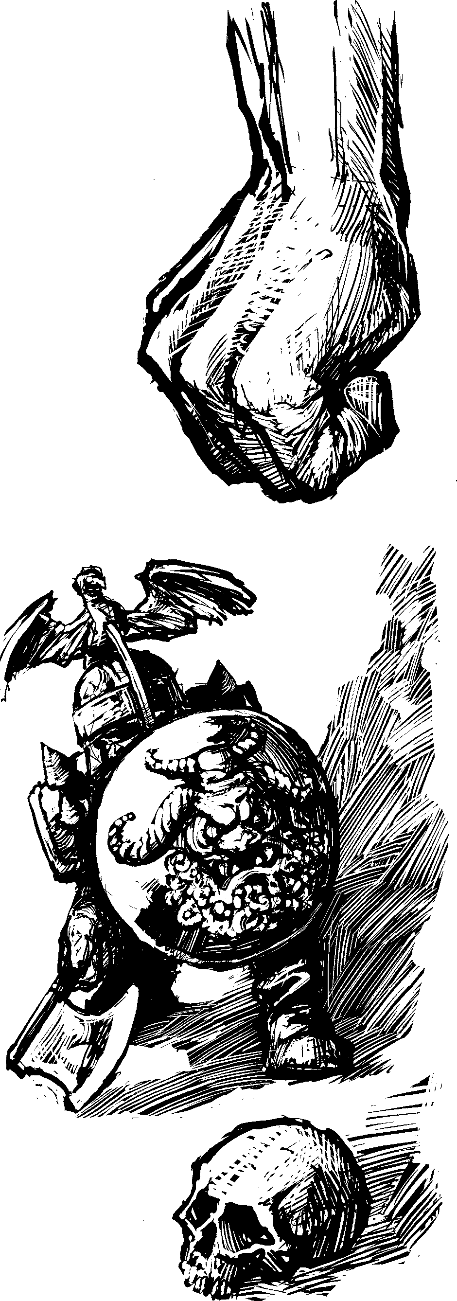 Barbar Beze Zbroje Se Může Spolehnout Na Svou Kůži, (940x2675), Png Download
