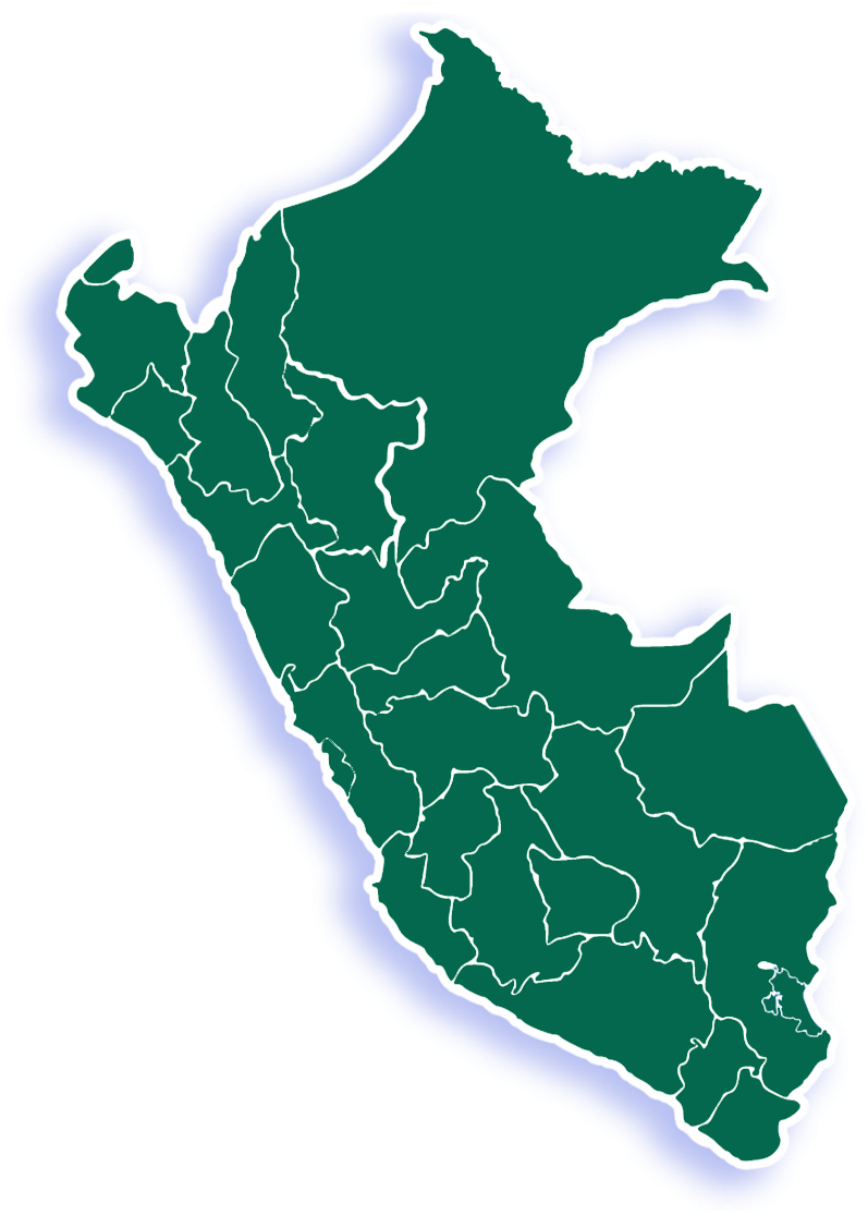 Por Tanto, Estamos Convencidos Que El Perú Necesita (930x1128), Png Download