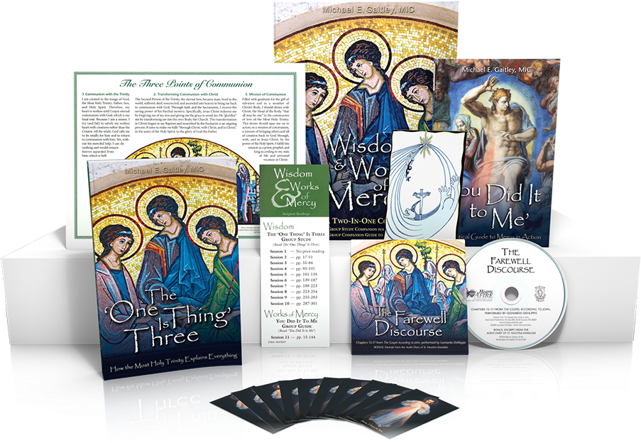 Wisdom & Works Of Mercy Participant Packet (903x903), Png Download