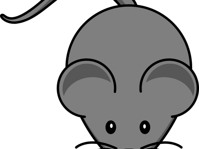 Rodent Clipart Raton (640x480), Png Download