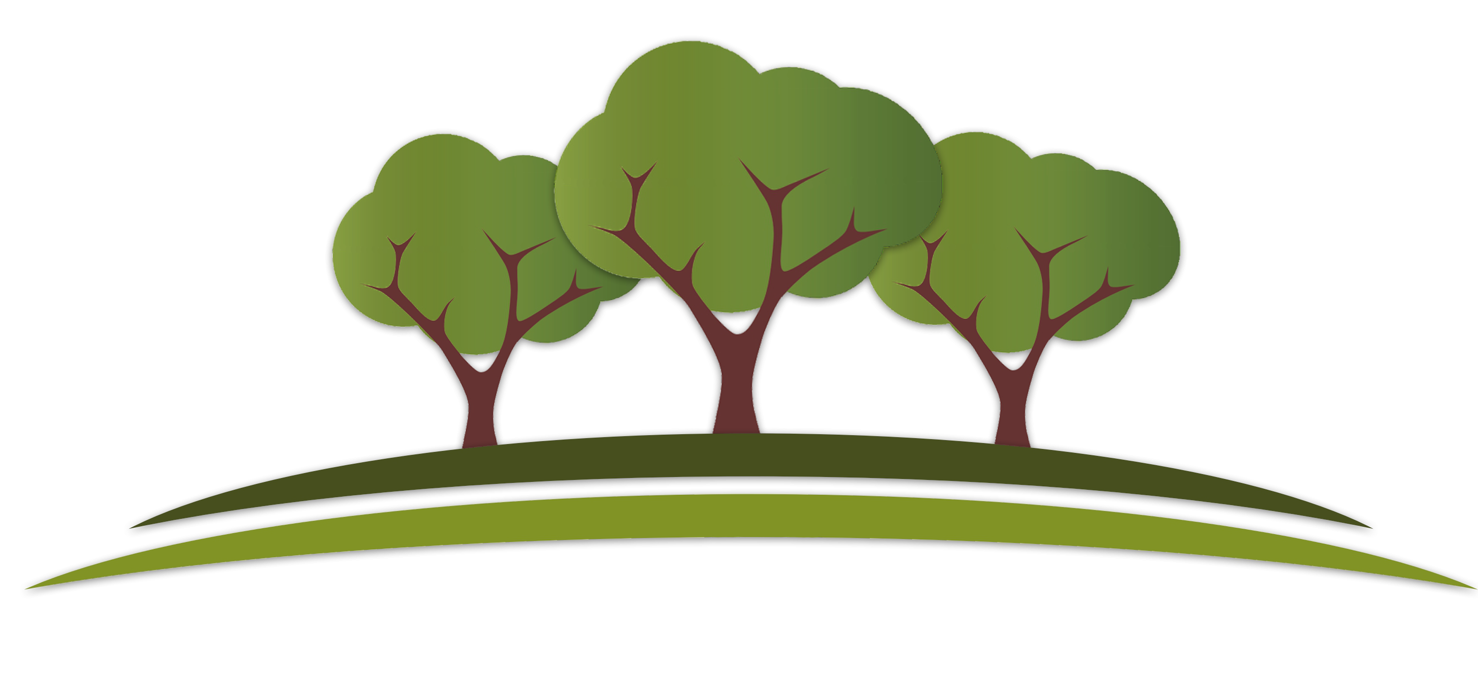 Diego's Lawn Care & Landscaping (3000x1565), Png Download