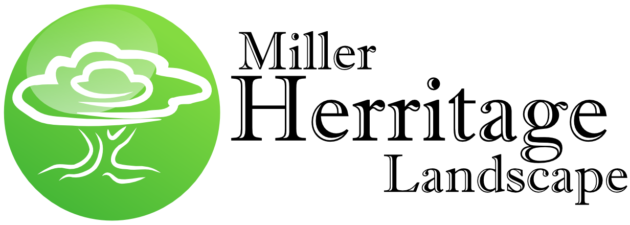 Logo Design By Djwills42 For This Project (1232x440), Png Download
