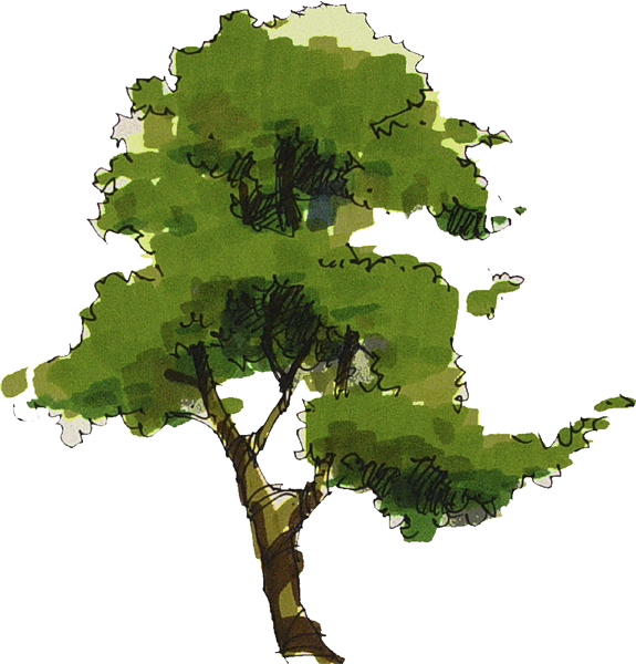 D Nu Ez Tareas (575x600), Png Download