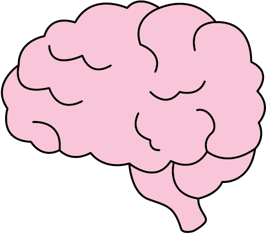 Brain (592x524), Png Download