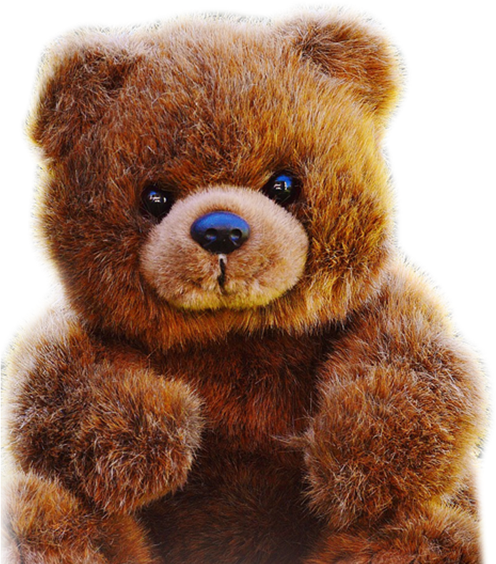 Teddy Roosevelt Png (789x789), Png Download