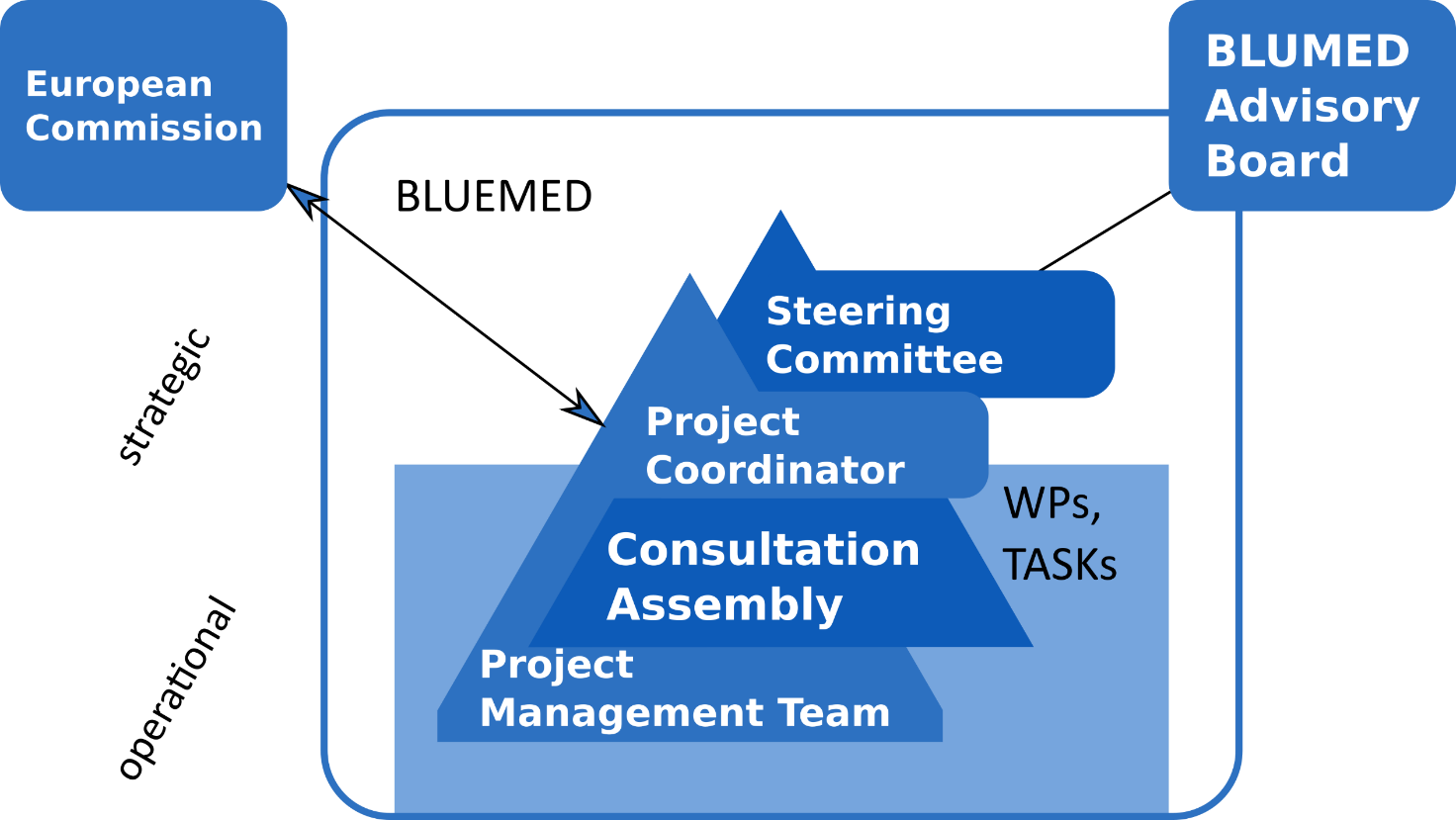 Management Structure (1472x829), Png Download