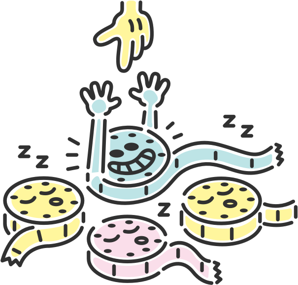 Introducing Fiona, Quickstart Your Festival Organisation (750x585), Png Download