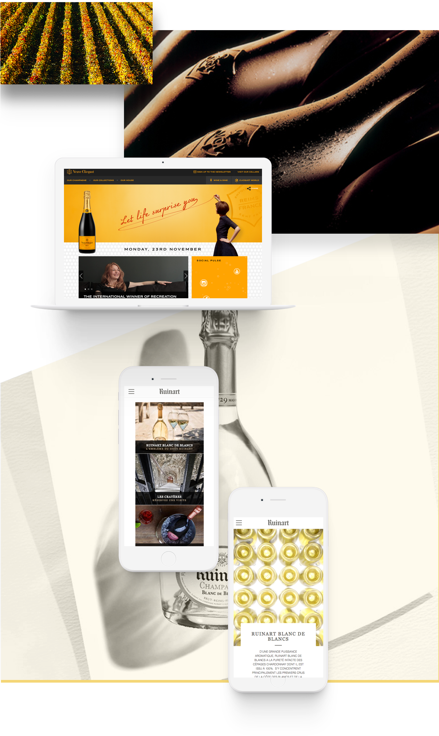 Drupal Support, Cms, Multisite Solutions Case Study - Flyer (1440x2422), Png Download