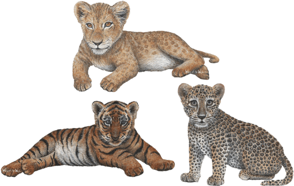 Leopard Transparent Jungle Animals - Lion Cub Wall Decal, Home Decor Decals, (600x600), Png Download