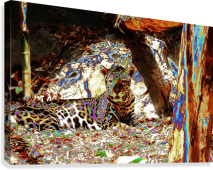 Leopard Resting - Modern Art (429x342), Png Download