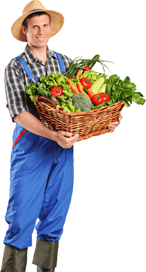 Free Png Farmer Png Images Transparent - Farmer With Vegetables Png (480x890), Png Download