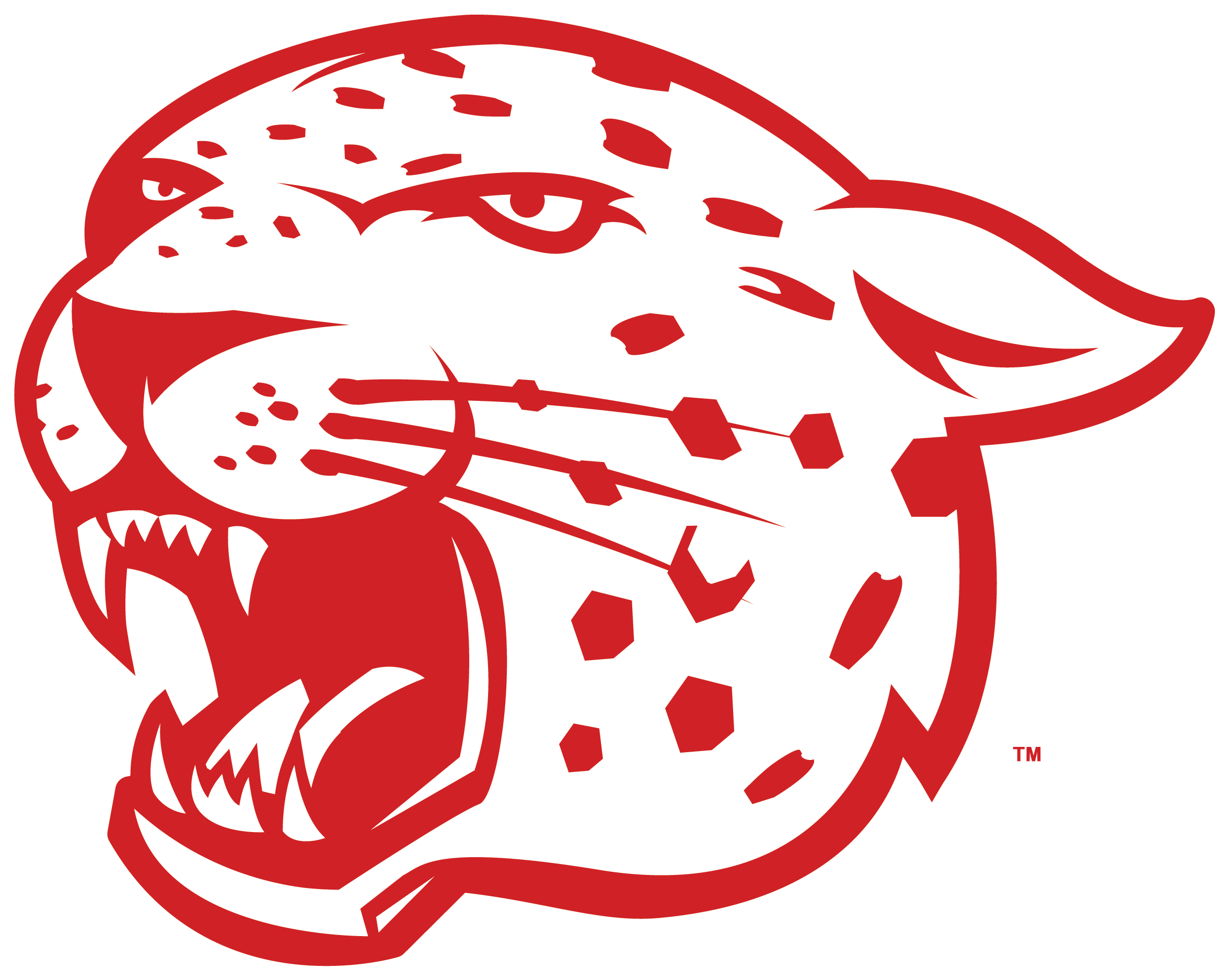 Leopard Jaguar Drawing Logo Clip Art - East High Leopards (3027x2550), Png Download