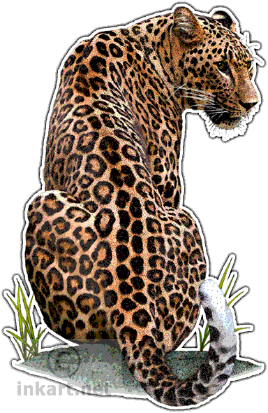 Persian Leopard Decal - Persian Leopard Throw Blanket (384x590), Png Download