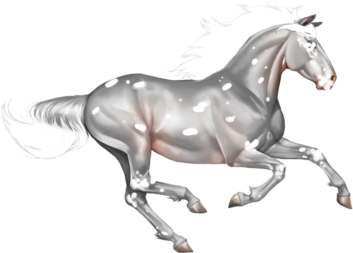 Leopard - Zazzle Horse Ring, Sterling Silver Ring With Horse, (700x503), Png Download