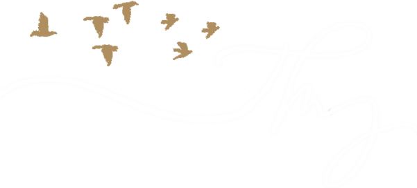 The Minds Journal - Society (600x278), Png Download