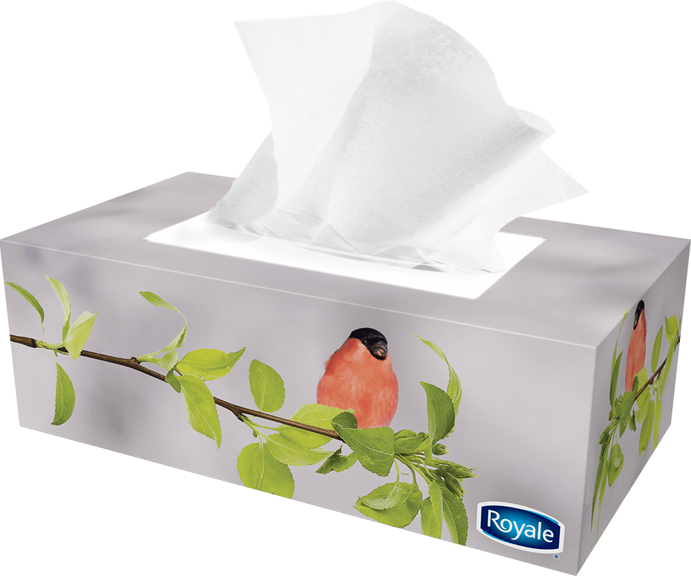 Previous - Next - Facial Tissue (999x833), Png Download