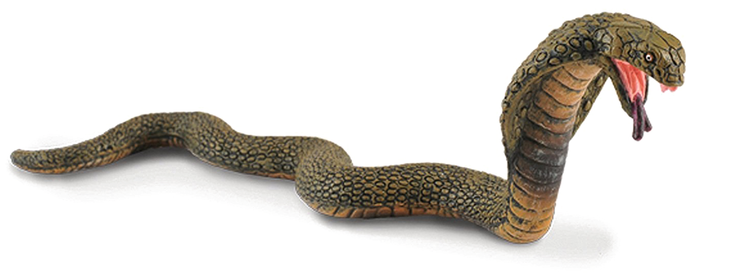 King Cobra Png Image - King Cobra Png (1500x664), Png Download