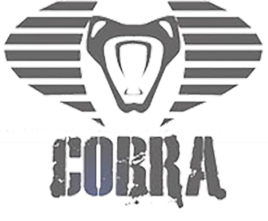 Cobra Logo Png For Kids - E-blue Cobra Gaming Mouse Pad - Medium (912x753), Png Download
