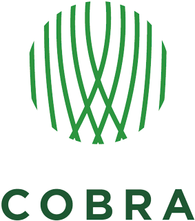 Cobra - Logo (500x350), Png Download