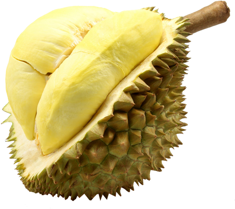 Download Durian Monthong Fruit Thailand Thailand Durian Full Size Png Image Pngkit
