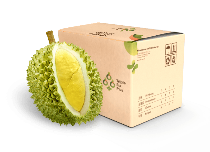 Fresh Durian - Box (794x636), Png Download