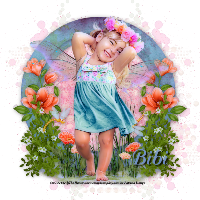 ✿➹⁀✿**ct Clusters Tags And Timeline For Bibi's Collection** - Garden Roses (700x700), Png Download