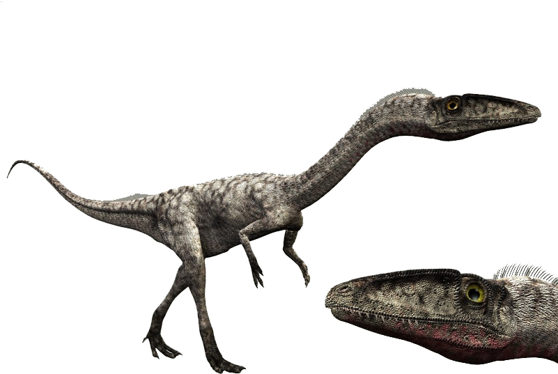 6734863 Orig - Walking With Dinosaurs Eoraptor (800x597), Png Download