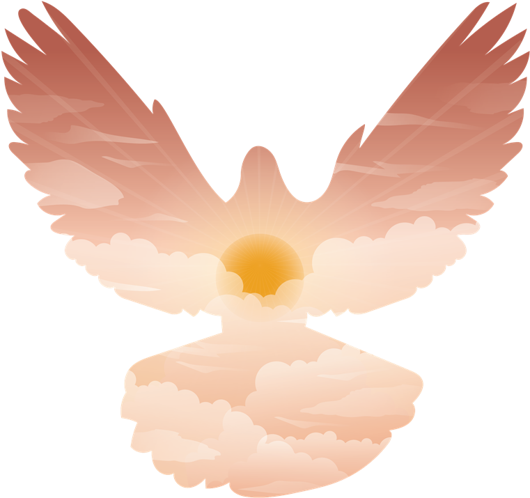 Org/wp Spirit 960572 - Double Exposure Dove (900x724), Png Download