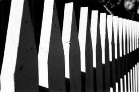 Screen 12 On Flowvella - Photography Rhythm In Art (461x460), Png Download