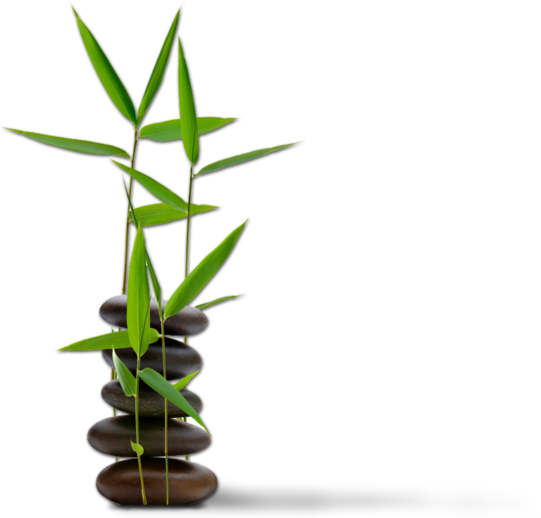 Bamboo Accent - Feng Shui For Dummies (780x742), Png Download