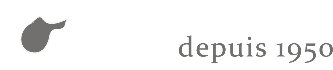 Black And White Horizontal Logo For Black Background - Monochrome (1181x283), Png Download