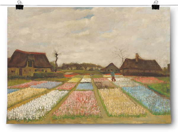 Vincent Van Gogh - Tulip Fields Van Gogh (500x500), Png Download