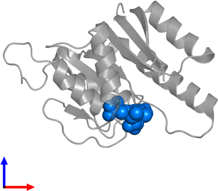 <div Class='caption-body'>pdb Entry 2nyu Contains 1 (800x800), Png Download