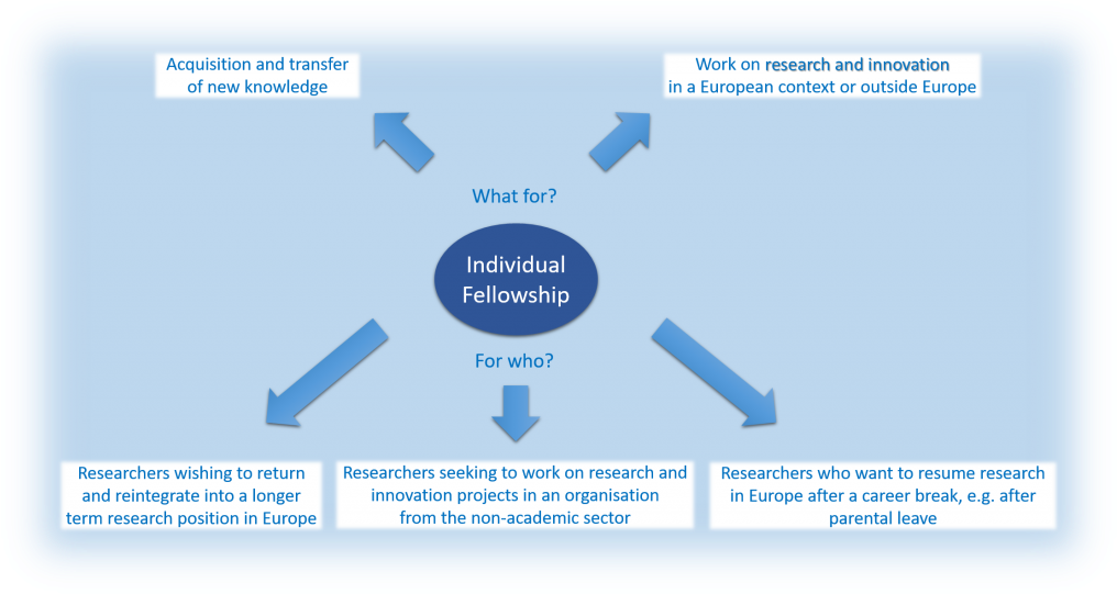 Support Is Foreseen For Individual, Trans-national (1024x549), Png Download