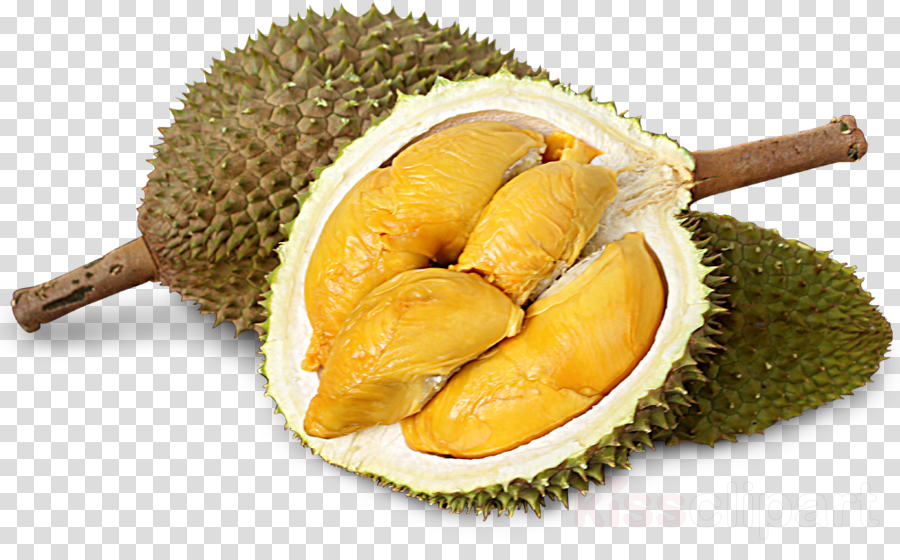 Fruit Flavored Chocolate Clipart Durio Zibethinus Kit (900x560), Png Download