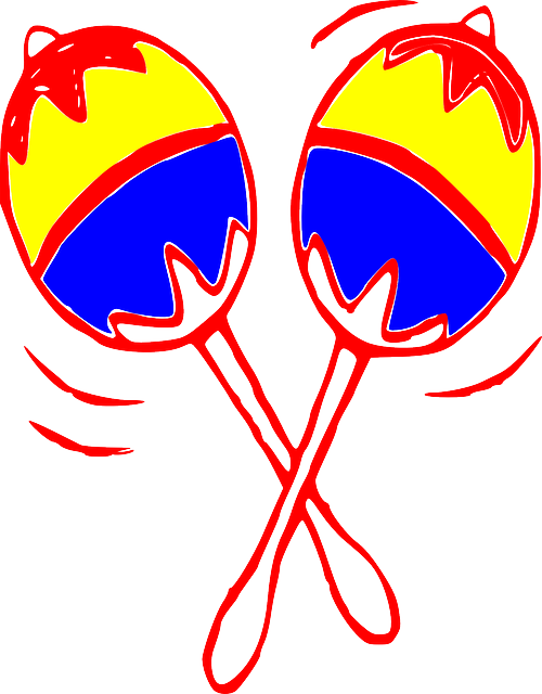 Maracas, Percussions, Sound, Carnival, Instrument (500x640), Png Download