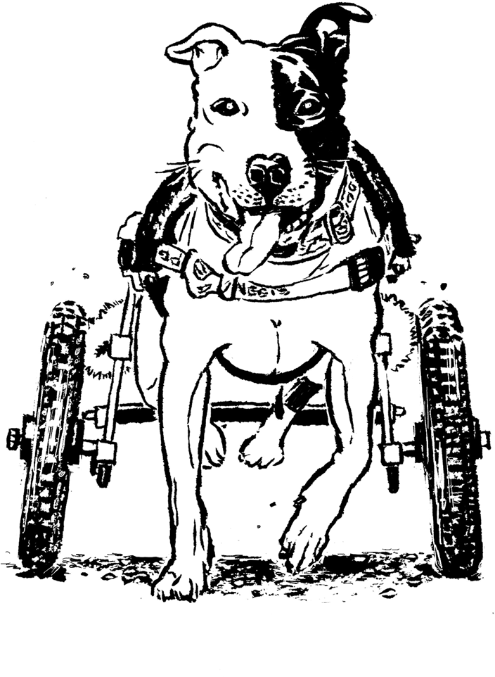 Josh (1000x1000), Png Download